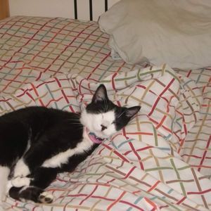 Meet your Posher, Miguel